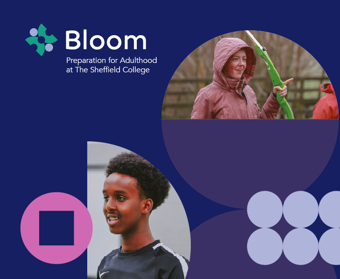 Bloom course
