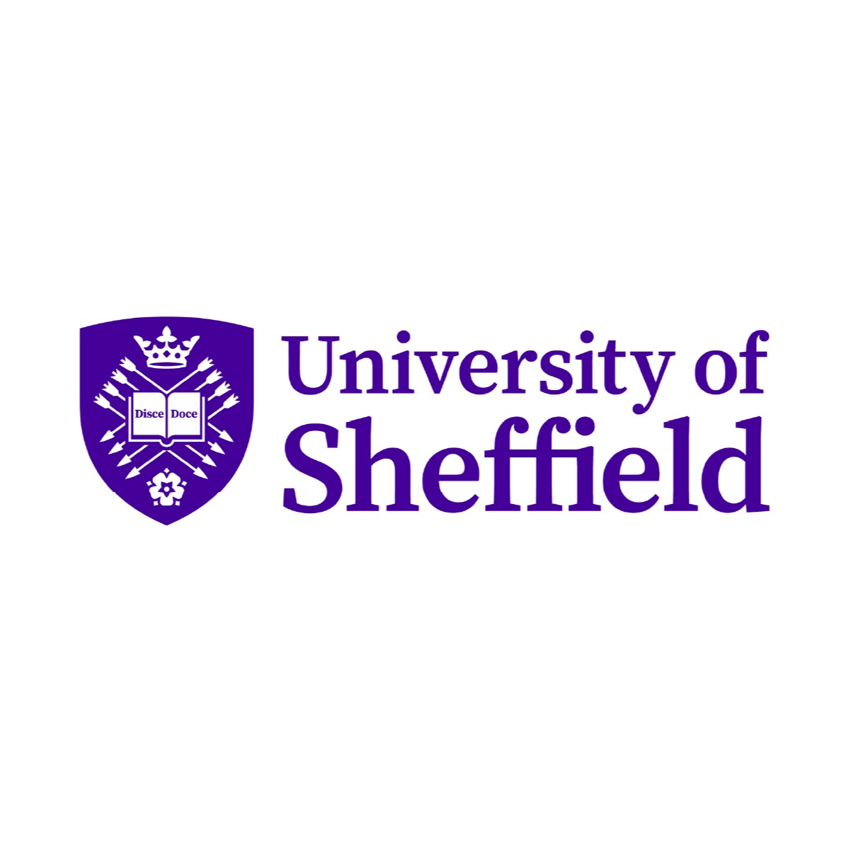 University of Sheffield A Levels Employer Skills Academy