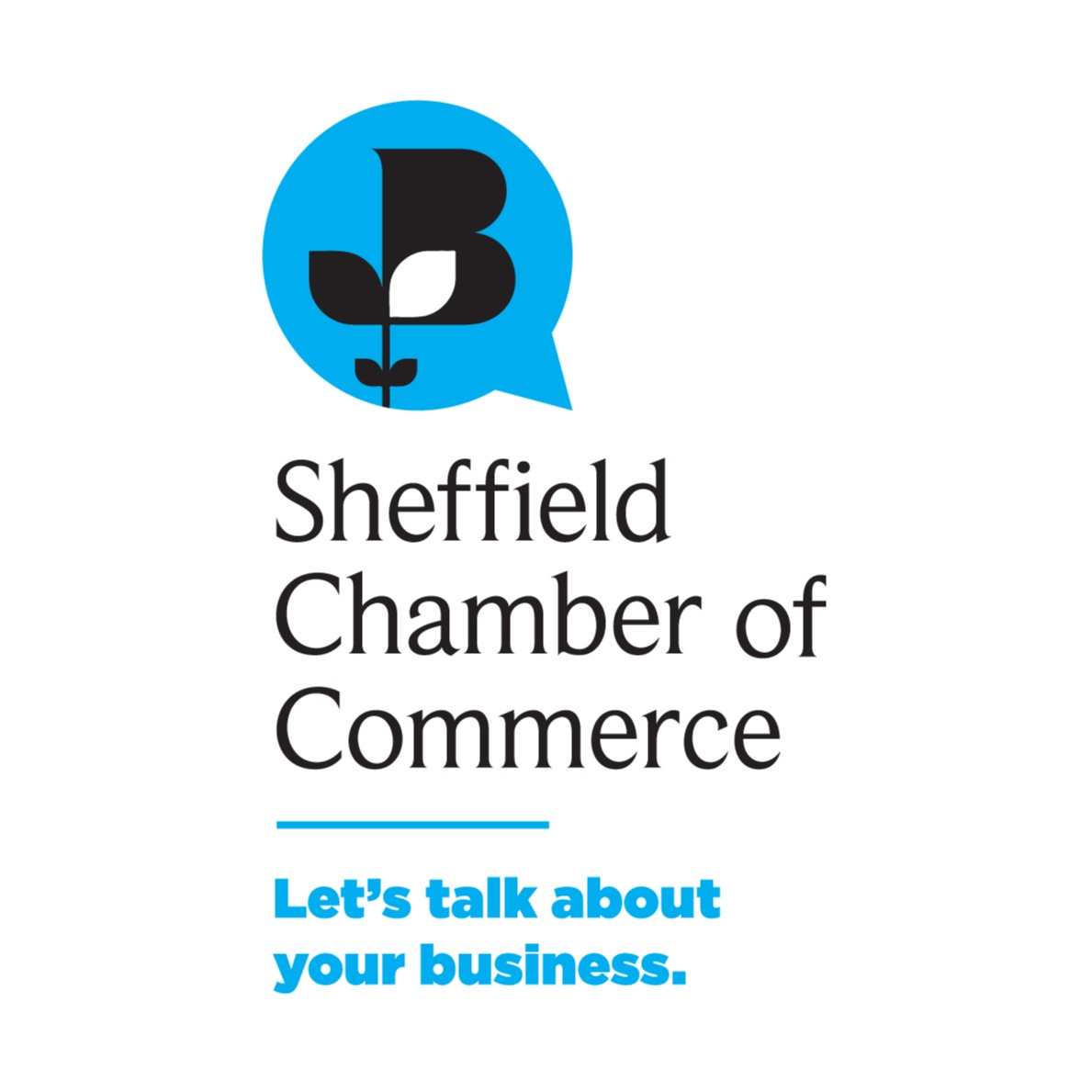 Sheffield Chamber of Commerce Business and Enterprise Employer Skills Academy