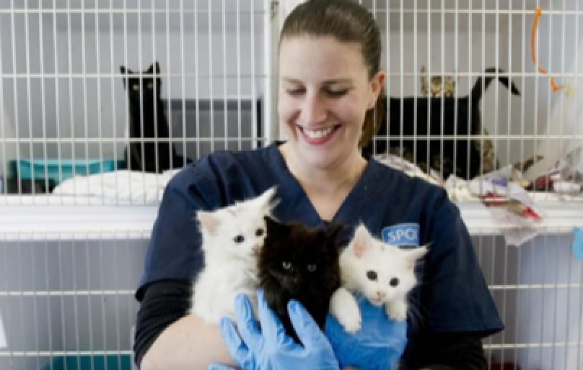 An Open Letter to Anyone Considering a Career in Animal Care