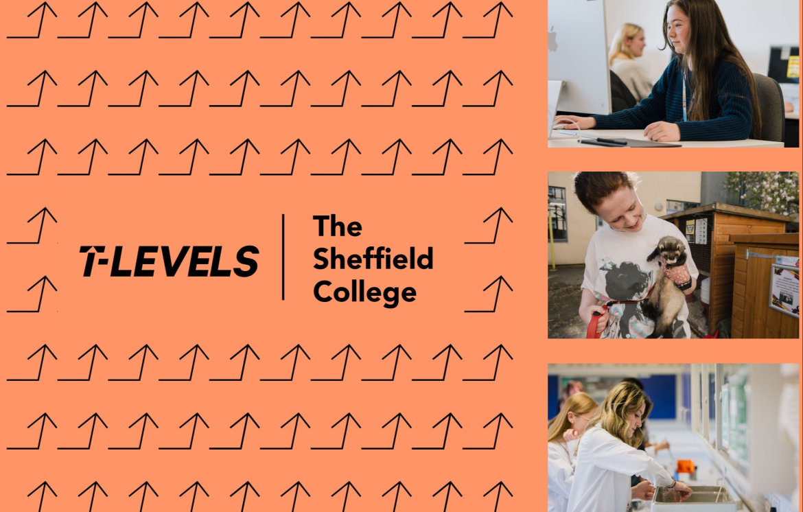 Where you'll be studying your T Level